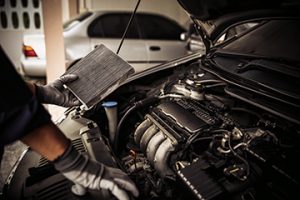 HandMechanicHoldingCarAirConditionerFilterForCheckAnd - Meineke Florence Alabama Meineke Car Care | Fuel Filter | Florence AL