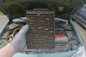 AutoMechanicInGlovesHoldsAnOldDirtyCloggedCar - Meineke Florence Alabama Meineke Car Care | Cabin Air Filter | Florence AL